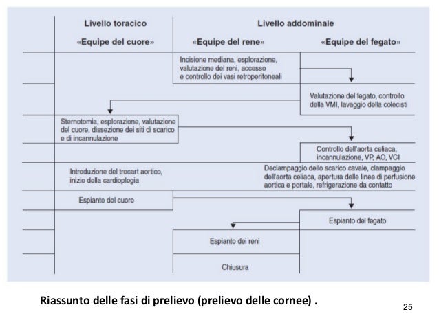 scarica cuore battente immagini da